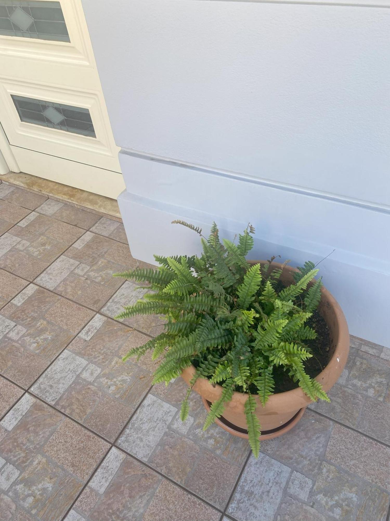 New Unique Apartment In Heraklion エクステリア 写真